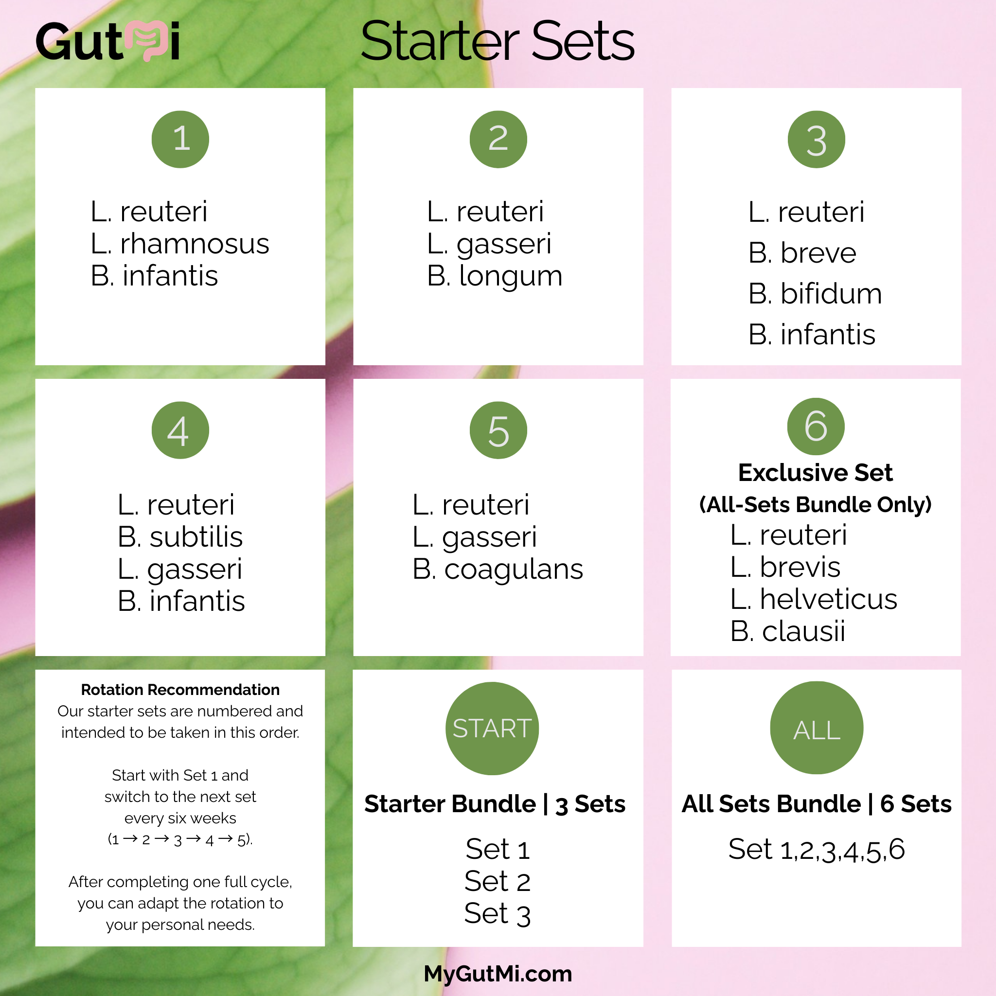 GutMi | L. reuteri + B. breve + B. bifidum + B. infantis | Yogurt Starter Set | Calm Gut | Starter Cultures | Pack of 3